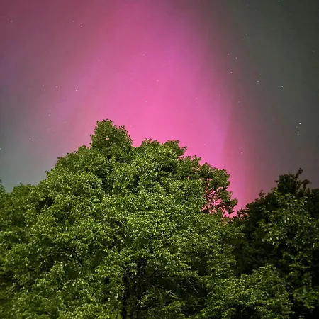 شقة Forsthaus Neudorf *