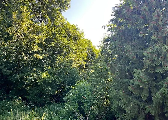 Forsthaus Neudorf - Gartenblick