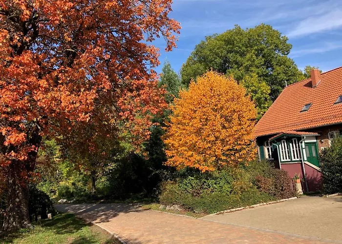 Lägenhet Forsthaus Neudorf - Gartenblick *