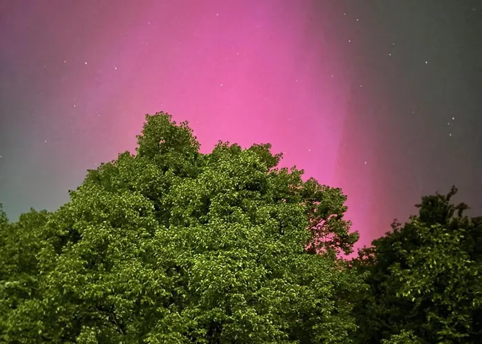 Apartmán Forsthaus Neudorf - Gartenblick *
