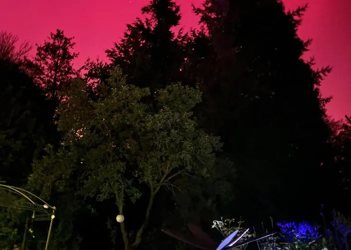 Apartmán Forsthaus Neudorf - Gartenblick Harzgerode